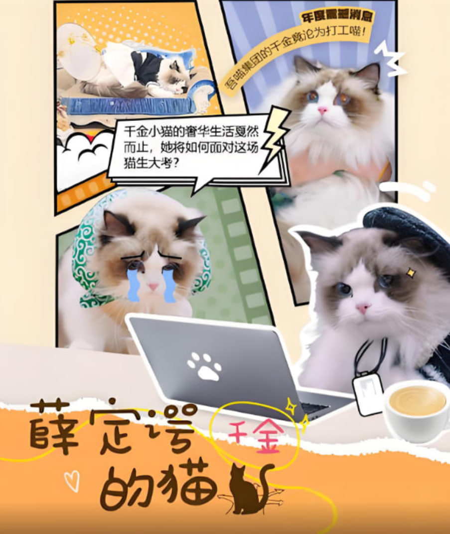 薛定谔的猫