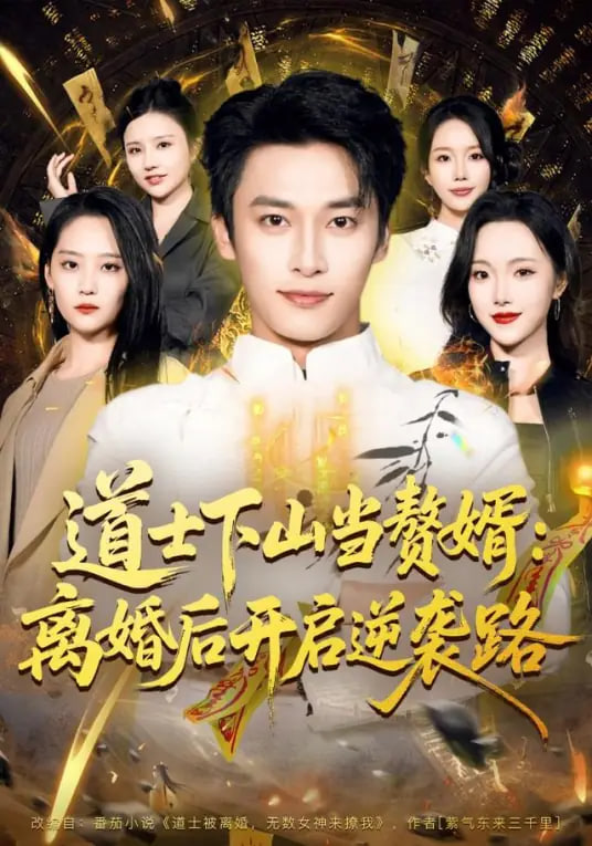 道士下山当赘婿：离婚后开启逆袭路