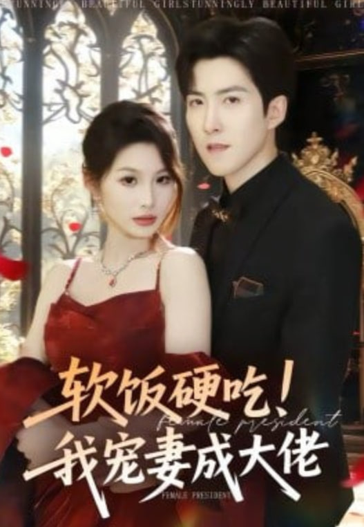 软饭硬吃！我宠妻成大佬