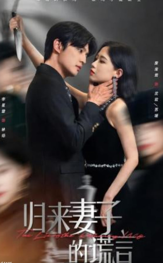 归来妻子的谎言