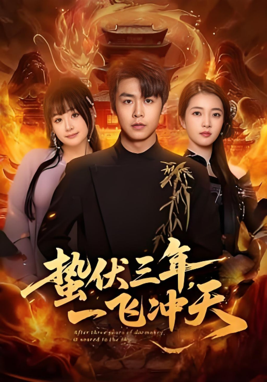 蛰伏三年，一飞冲天