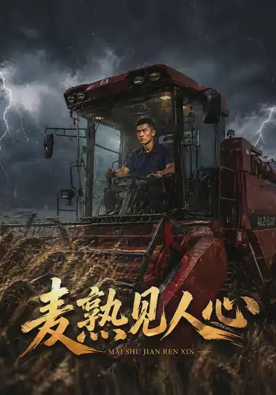 麦熟见人心